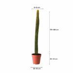 treeco best plants and trees